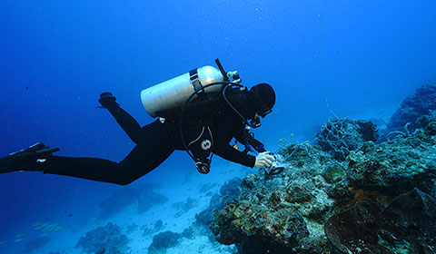Laden Sie das Bild in Galerie -Viewer, PADI Self Reliant Diver Tauchsport Pape-tauchsport pape