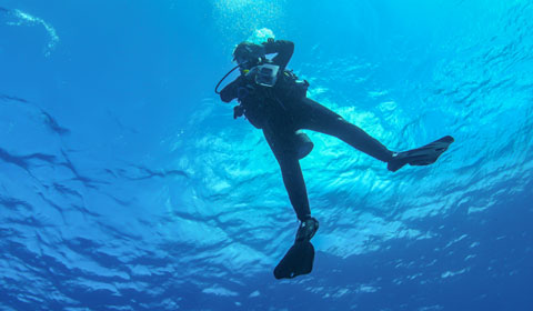 Laden Sie das Bild in Galerie -Viewer, PADI ReActivate Tauchsport Pape-tauchsport pape