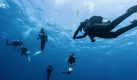 Laden Sie das Bild in Galerie -Viewer, PADI Divemaster Tauchsport Pape-tauchsport pape