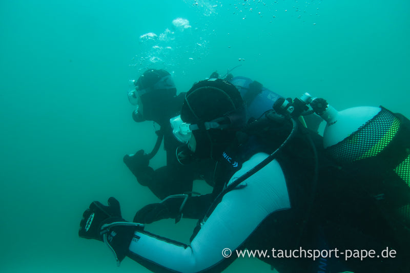 Laden Sie das Bild in Galerie -Viewer, Stress and Rescue / Rescue Diver