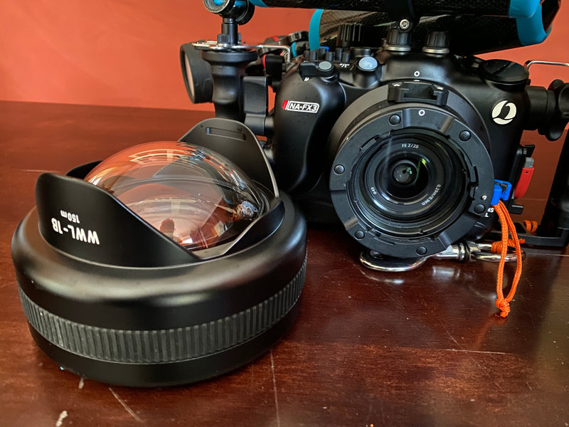 Laden Sie das Bild in Galerie -Viewer, PADI Underwater Photographer Spezialkurs