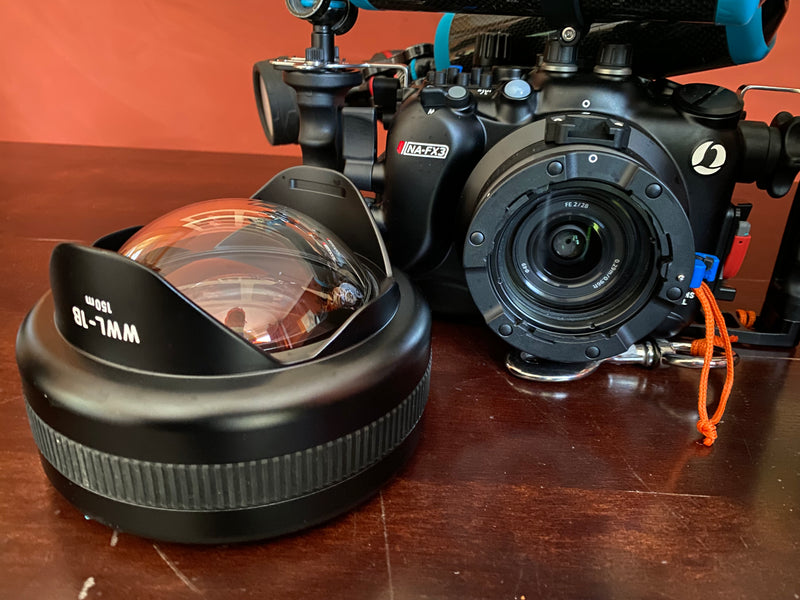 Laden Sie das Bild in Galerie -Viewer, PADI Underwater Videographer Spezialkurs