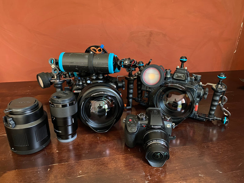 Laden Sie das Bild in Galerie -Viewer, PADI Underwater Photographer Spezialkurs