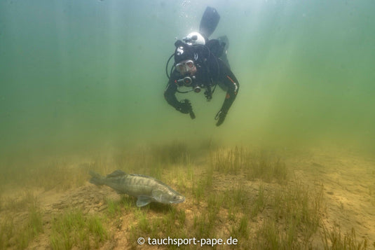 Tauchen am Edersee 