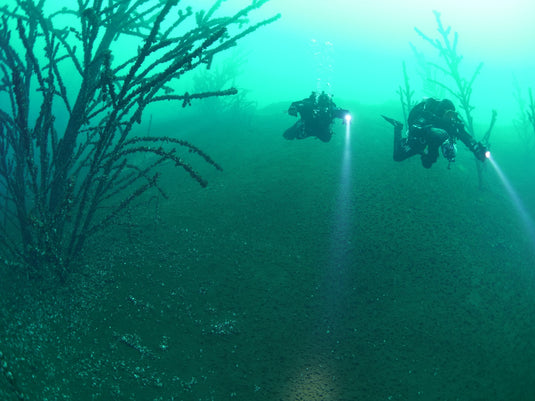 Unsere Tauchreisen 2026