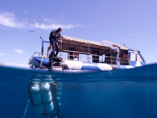 Kroatien - Tauchen für jeden Geschmack
