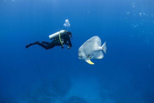 Geschenkgutschein Open Water Diver Tauchkurs