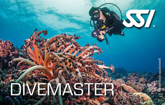 SSI Dive Guide/Divemaster